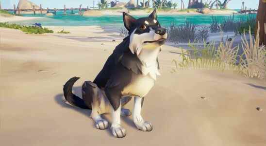 Sea Of Thieves ajoute de bons chiens et des coffres au trésor la semaine prochaine