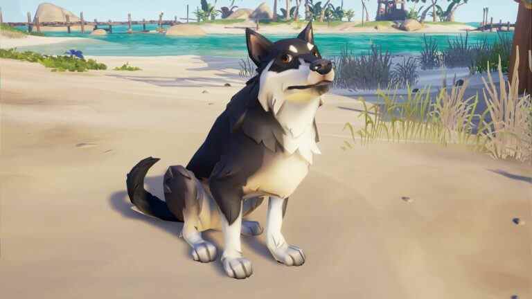 Sea Of Thieves ajoute de bons chiens et des coffres au trésor la semaine prochaine

