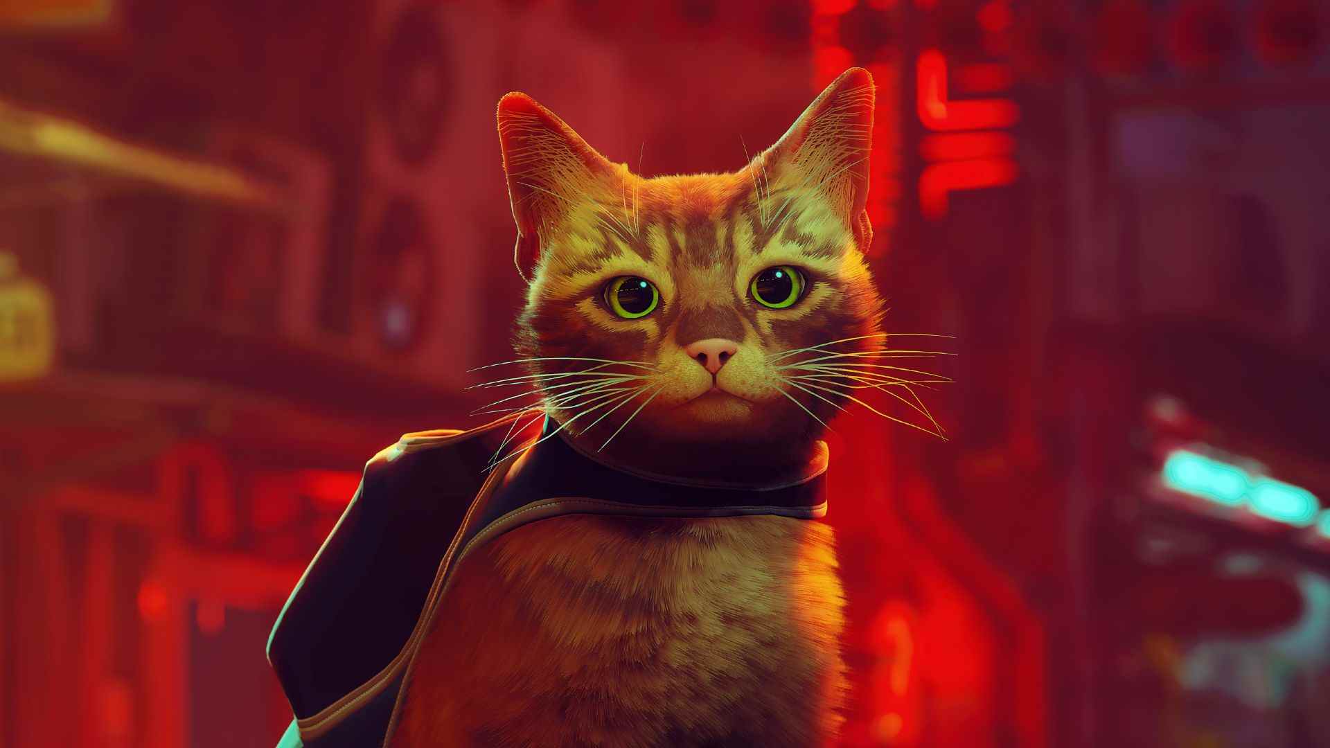 Revue Stray - un félin perdu devient un révolutionnaire cyberpunk
