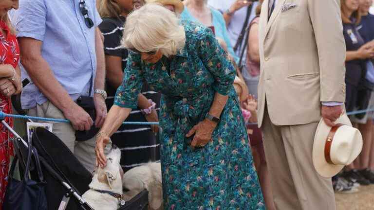 La duchesse de Cornouailles admire un chien dans un buggy au Sandringham Flower Show