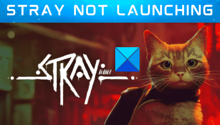 Stray ne se lance pas ou ne s’ouvre pas sur un PC Windows [Fixed]