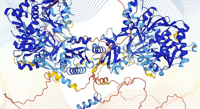La recherche DeepMind décrypte la structure de presque toutes les protéines connues