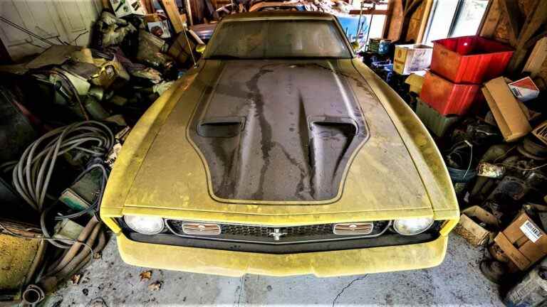 4 Rare Survivor Mustang Barn trouve la surface à Harrisburg