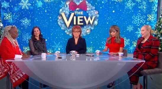 Après la sortie de Meghan McCain, on dirait que The View ajoute enfin un autre hôte permanent