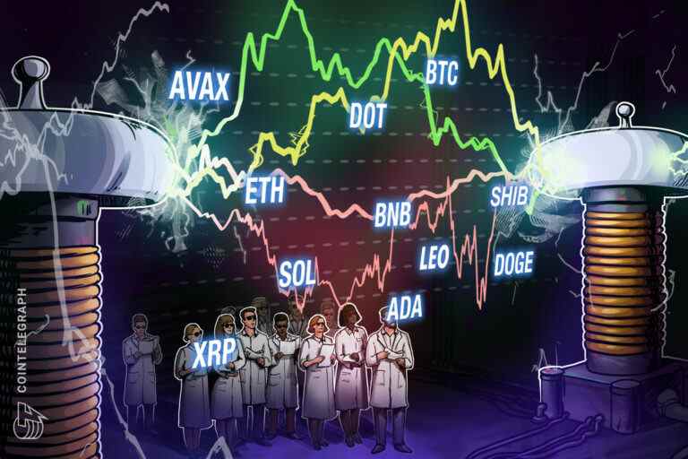 BTC, ETH, BNB, XRP, ADA, SOL, DOGE, POINT, LEO, SHIB