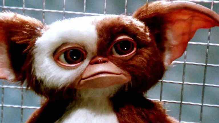 Baby Yoda a été "complètement volé", déclare le directeur de Gremlins
