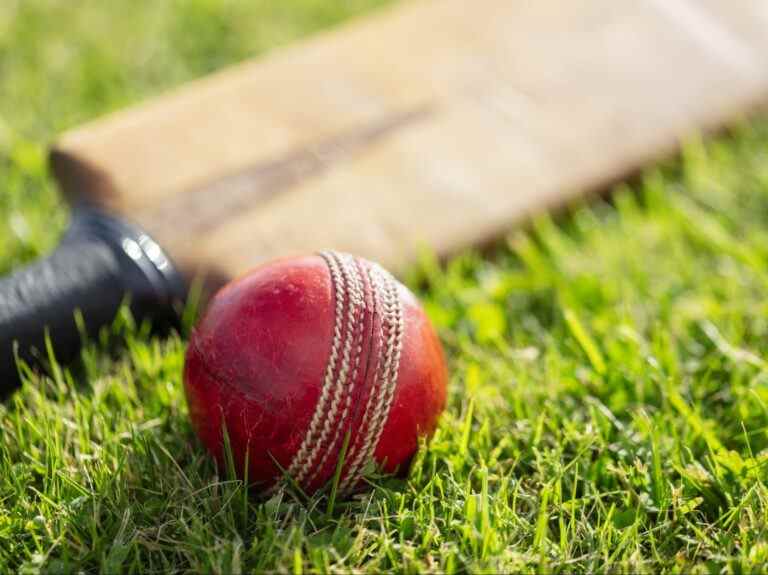 CE N’EST PAS DU CRICKET ! : Les flics indiens démantèlent une fausse ligue