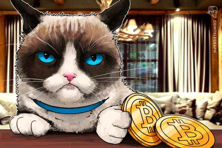 Cat gâte le nœud Bitcoin lors d’une chute des prix avec une « protestation sale »