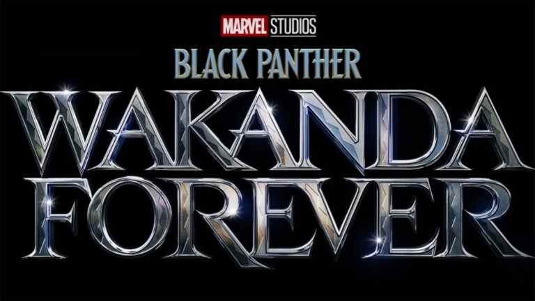 Cet acteur de Black Panther ne revient pas pour Wakanda Forever