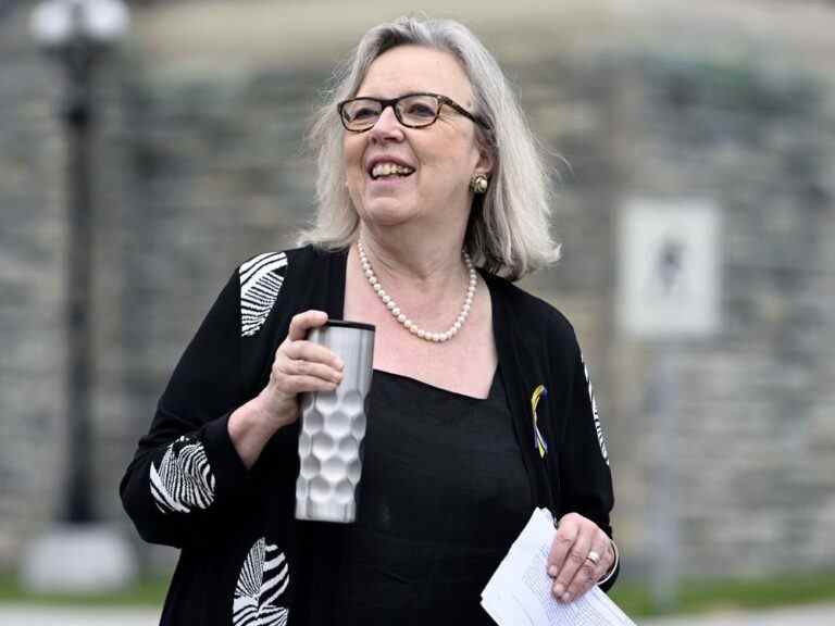 Elizabeth May prépare la candidature à la direction des Verts et a demandé au député Mike Morrice d’envisager de se présenter : Sources