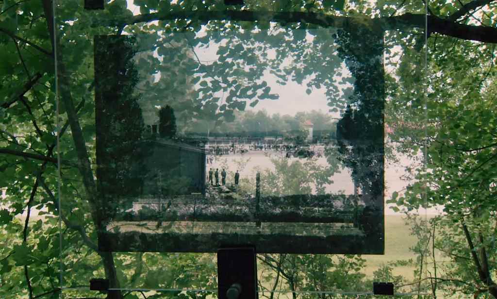 Greenwich achète le documentaire de la Seconde Guerre mondiale 