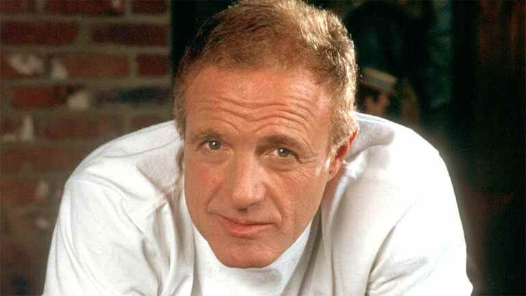 James Caan, star de "The Godfather" et "Misery", décède à 82 ans
	
	
