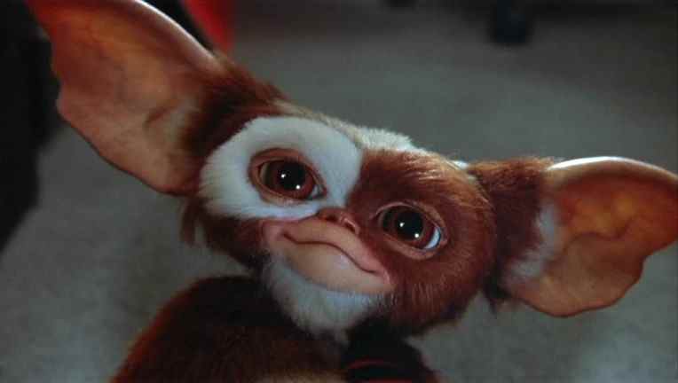 Gizmo, Gremlins