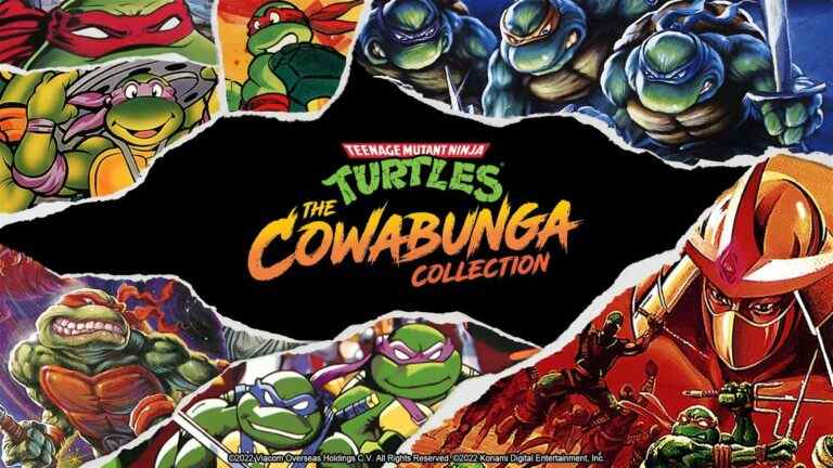 La collection Cowabunga sort le 30 août – The Outerhaven