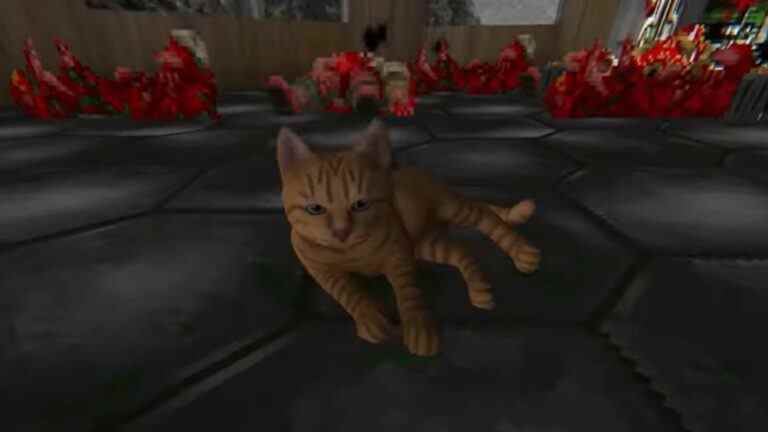 Le chat de Stray a maintenant été modifié dans Doom

