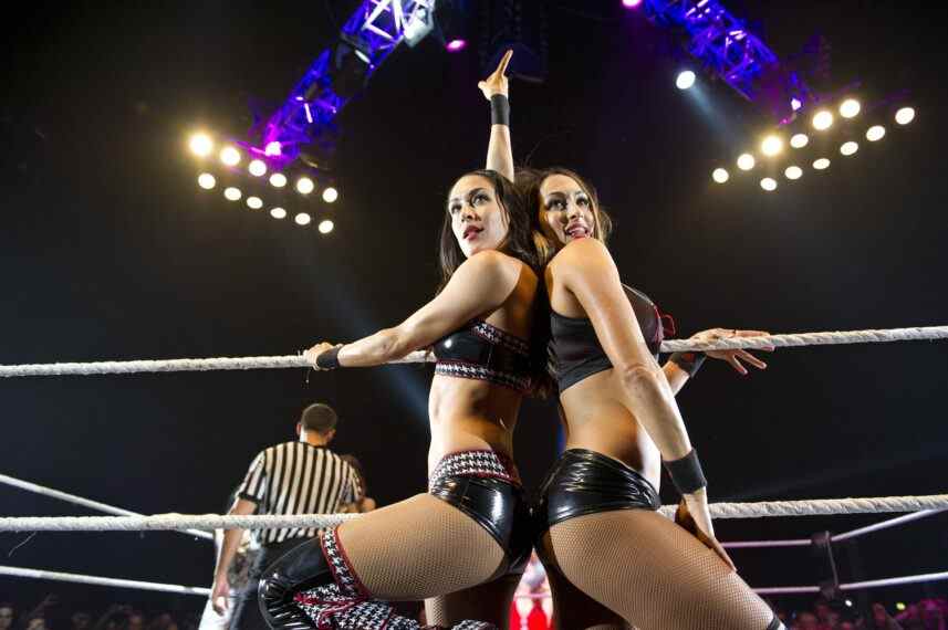 Nikki et Brie Bella