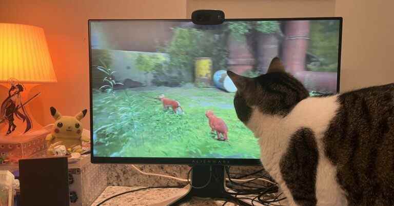 Les animaux de compagnie paniquent à cause de leurs propriétaires qui jouent à Stray, et j'adore ça
