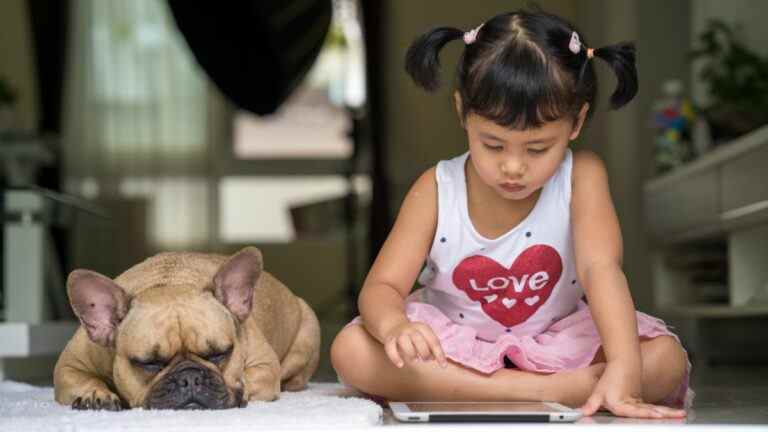 Les chiens-guides et les iPads se réunissent dans une nouvelle poussée d’accessibilité