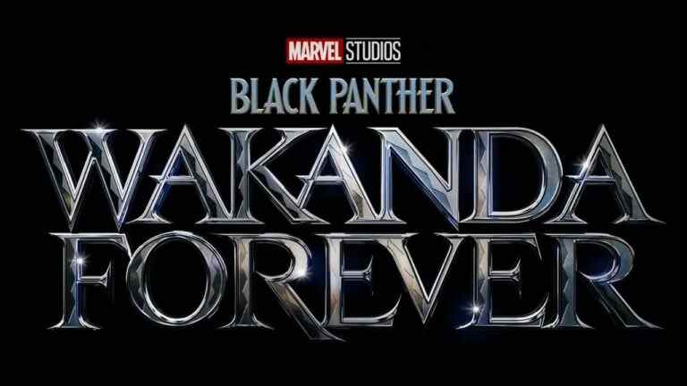 Marvel's Black Panther: Wakanda Forever mettra fin à la phase 4 du MCU
