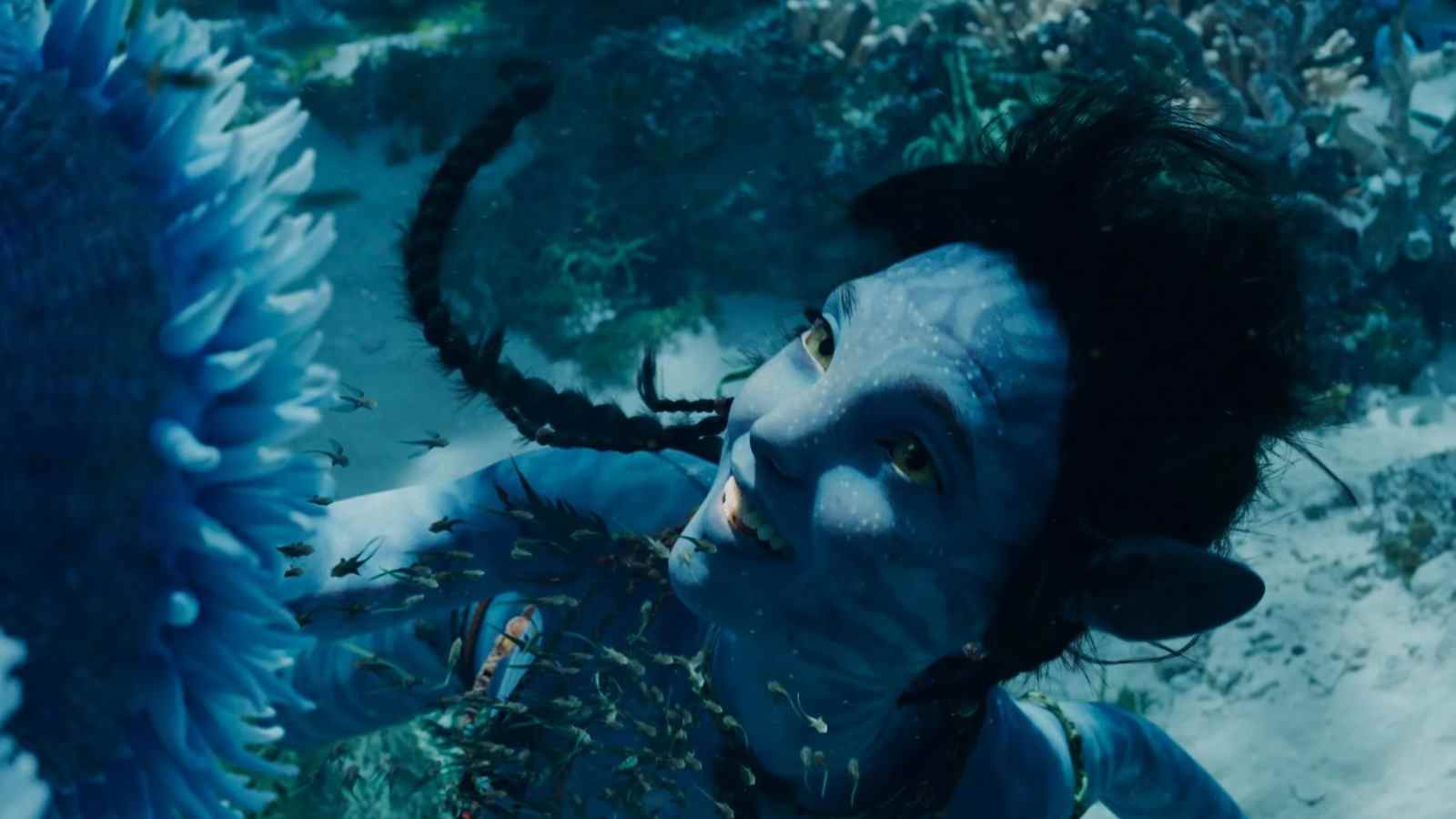 Même James Cameron a des doutes sur Avatar: le potentiel du box-office de The Way Of Water
