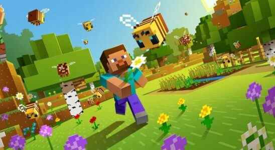 Minecraft n'autorisera pas les NFT ou les technologies Blockchain