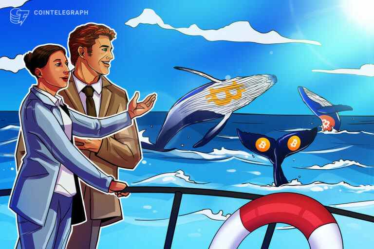 Qu’est-ce que l’observation des baleines Bitcoin et comment suivre les baleines Bitcoin ?