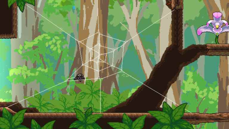 Résolvez des énigmes dans Spider Platformer Webbed l'année prochaine

