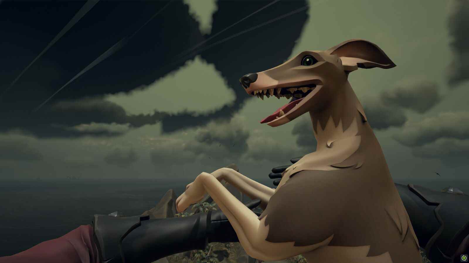 Sea Of Thieves a maintenant des chiens et je les aime de tout mon cœur

