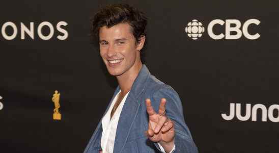 Shawn Mendes annule toutes les dates de tournée pour "prendre le temps que je n'ai jamais pris personnellement"