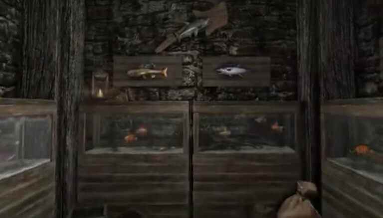 Skyrim: Anniversary Edition vous permet de collecter des poissons dans votre propre aquarium