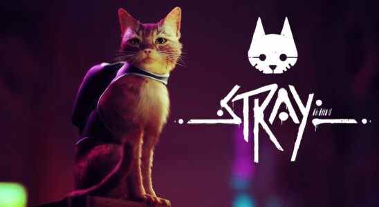 Stray Physical Release, Bonus Goodies et Vinyl Soundtrack Revealed