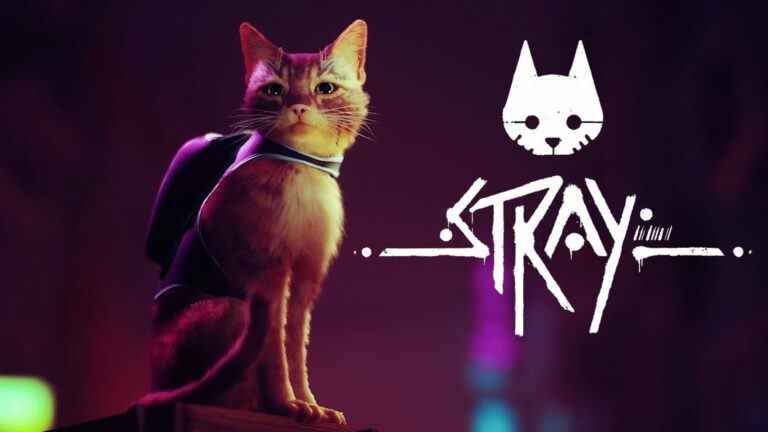 Stray Physical Release, Bonus Goodies et Vinyl Soundtrack Revealed
