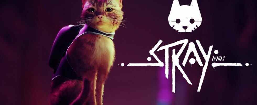 Stray Physical Release, Bonus Goodies et Vinyl Soundtrack Revealed