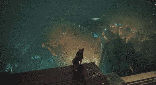 Stray est un jeu merveilleux avec un chat, pas un jeu de chat qui est merveilleux