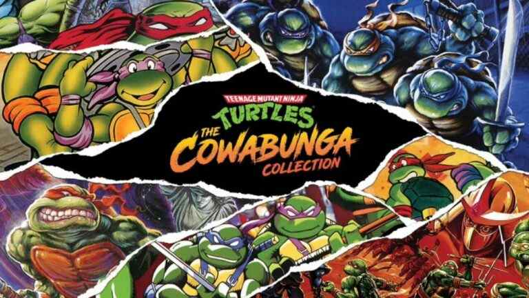 Teenage Mutant Ninja Turtles : la collection Cowabunga sortira en août
