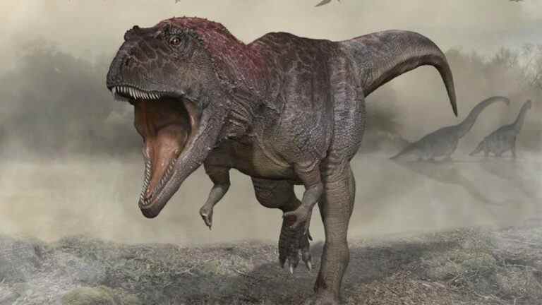 Une espèce de dinosaure récemment découverte partage les bras minuscules du T. Rex, mais n'a "aucune relation directe"
