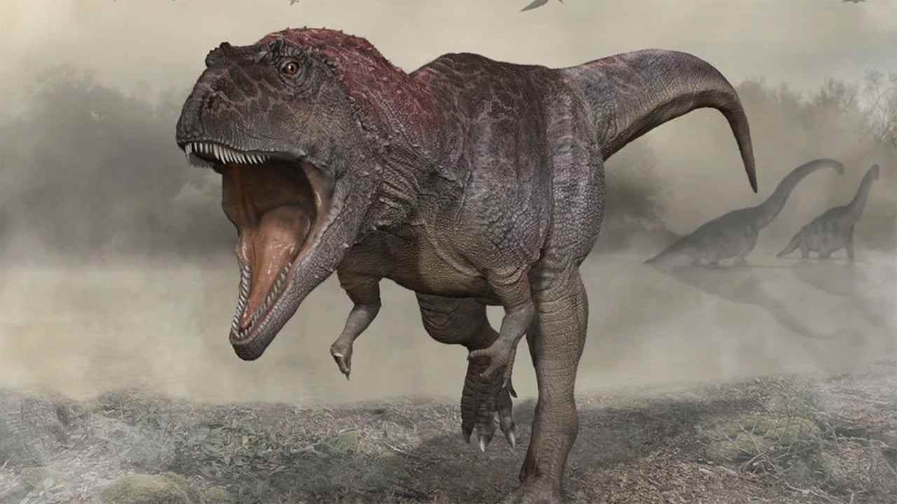 Une espèce de dinosaure récemment découverte partage les bras minuscules du T. Rex, mais n'a 