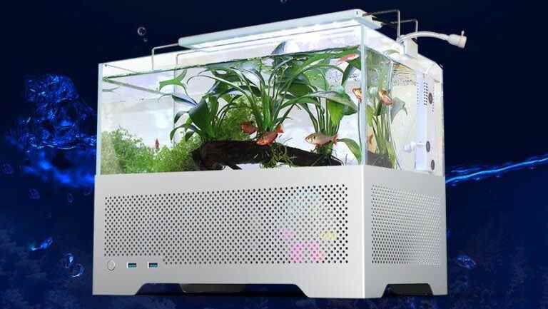 Le boîtier PC de l’aquarium MetalFish est testé, les poissons sont chauffés par le sol