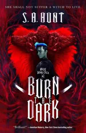 Couverture du livre Burn The Dark par SA Hunt