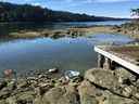 Avec une petite cabane rustique, un modeste hangar à bateaux et une terrasse en bord de mer, l'île de Jelina offre l'opportunité de créer une résidence paisible au bord de la plage qui abrite des animaux sauvages tels que les loutres de mer et les épaulards.