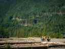 Les employés de Woodfibre LNG se rencontrent sur le site de la future usine de l'entreprise près de Squamish, en Colombie-Britannique