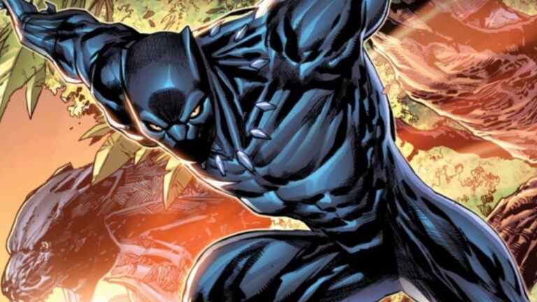 Black Panther : Unconquered propose une bande dessinée qui saute sur le point avant Wakanda Forever