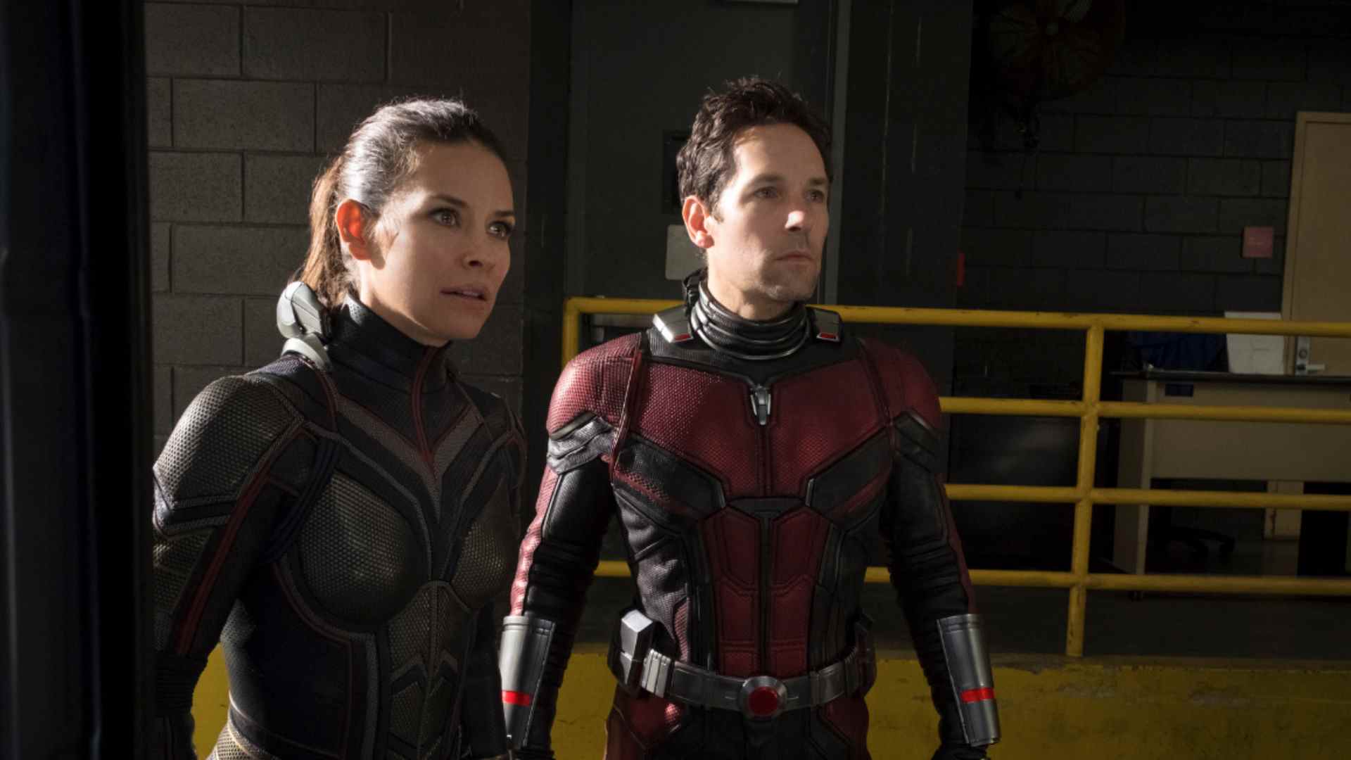 Ant-Man et la Guêpe