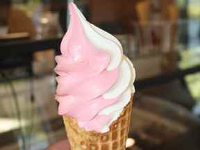 Un cornet de crème glacée framboise-vanille à la Bleuetière Marland à Sainte-Marie, au Québec.  (RUTH ​​DEMIRDJIAN DUENCH)