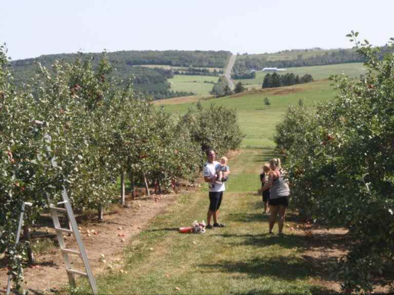 Célébrez l’été avec de la nourriture en plein air, buvez dans la région de la Beauce au Québec