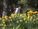 Un étudiant passe devant des fleurs sur le campus de l'Université de Waterloo à Waterloo, en Ontario.