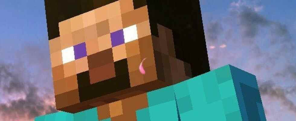 Aléatoire: Steve de Minecraft récupère sa barbe, confirmant que ce n'était jamais un sourire