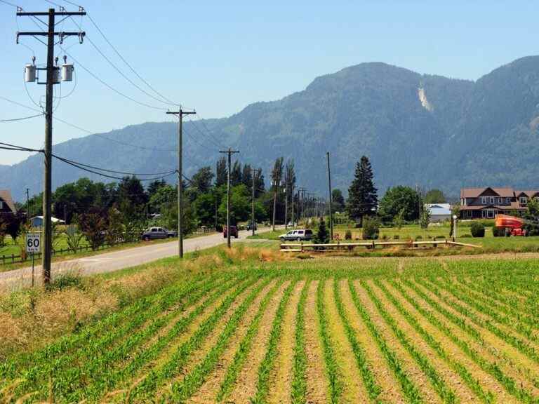 Walter E. Block : Doit-on protéger les terres agricoles ?