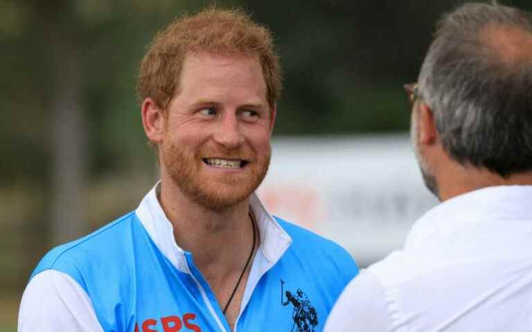 Le prince Harry emmène un jet privé pour un match de polo d’une journée et fait transporter son kit dans une voiture séparée