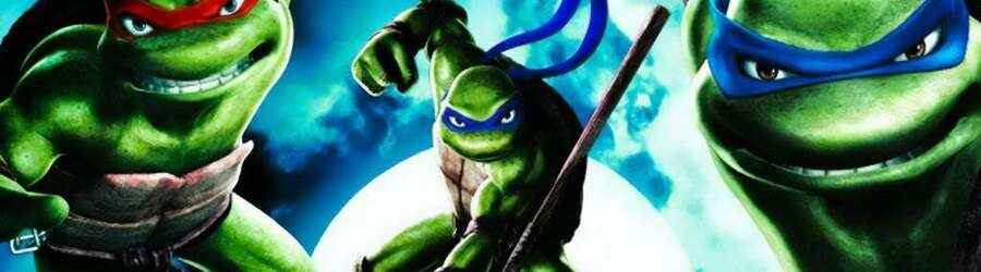 TMNT (DS)